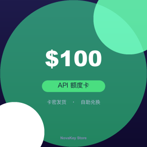 API 额度卡 $100