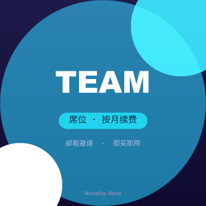 ChatGPT Team 席位(月卡)
